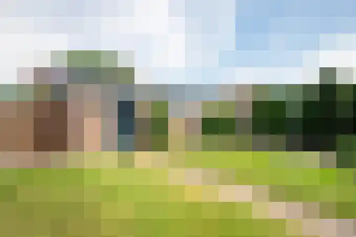 Hertestraat 10 Linne thumbnail 19