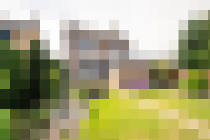Hertestraat 10 Linne thumbnail 20