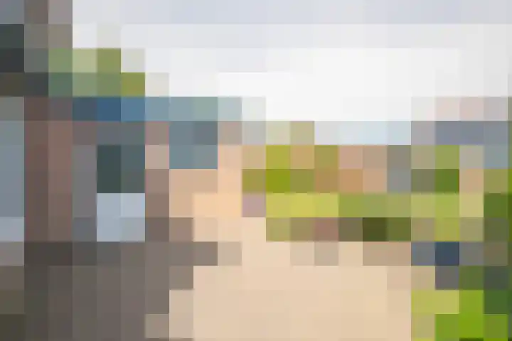 Hertestraat 10 Linne thumbnail 21