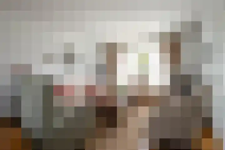 Hertestraat 10 Linne thumbnail 4