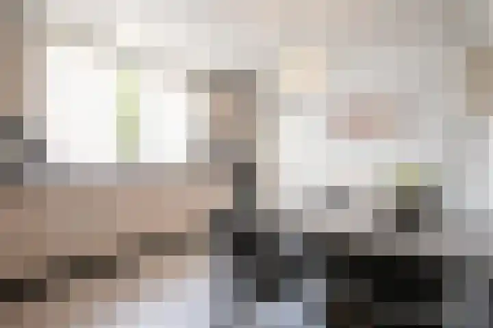 Hertestraat 10 Linne thumbnail 7