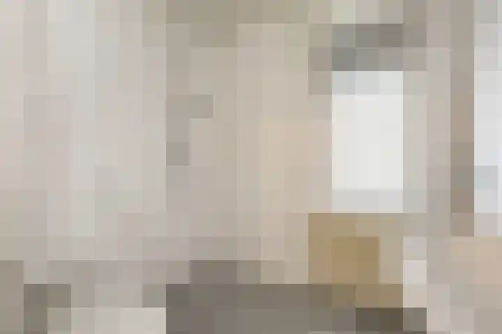 Hertestraat 11 Utrecht thumbnail 16
