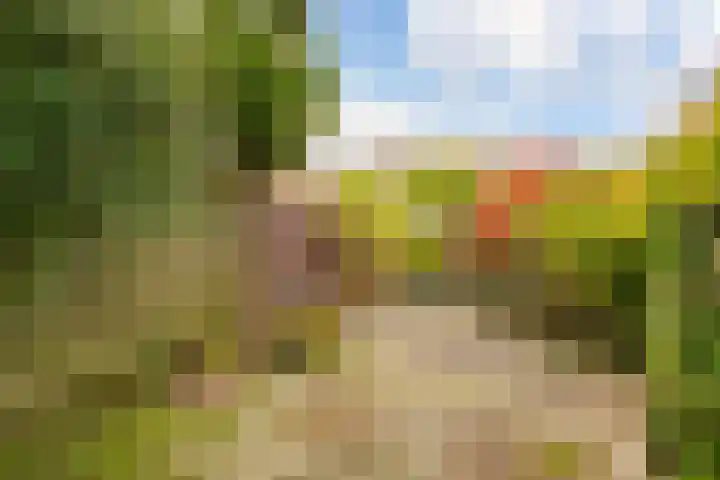 Hertestraat 11 Utrecht thumbnail 22