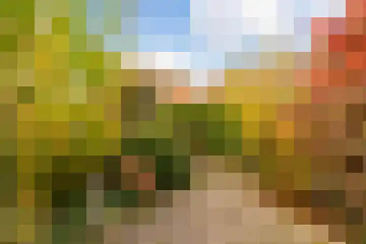 Hertestraat 11 Utrecht thumbnail 25