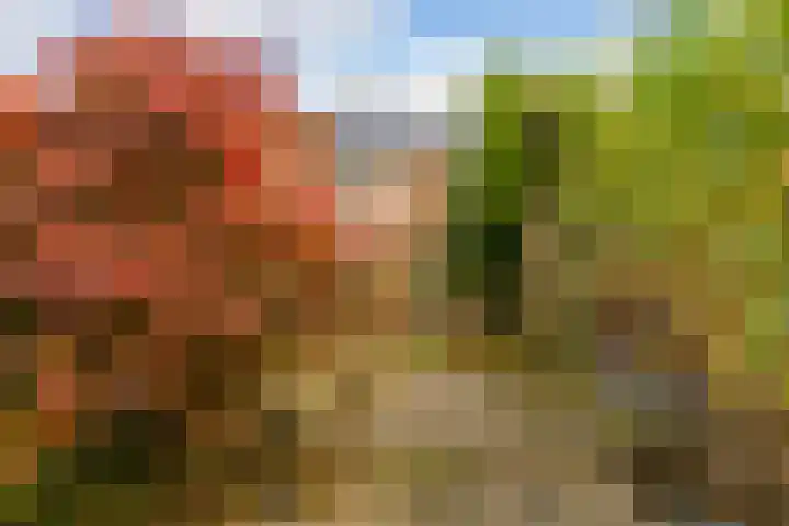 Hertestraat 11 Utrecht thumbnail 27
