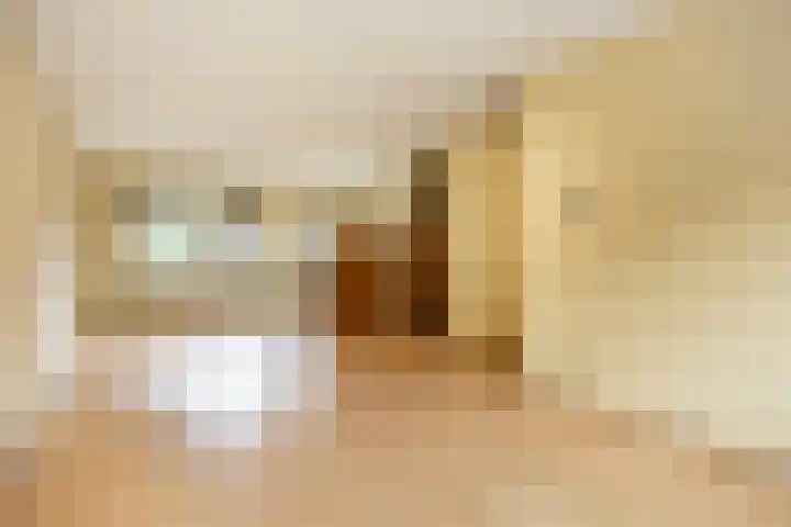Hertestraat 11 Utrecht thumbnail 5