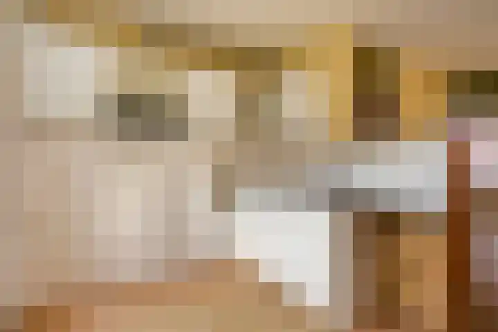 Hertestraat 11 Utrecht thumbnail 9