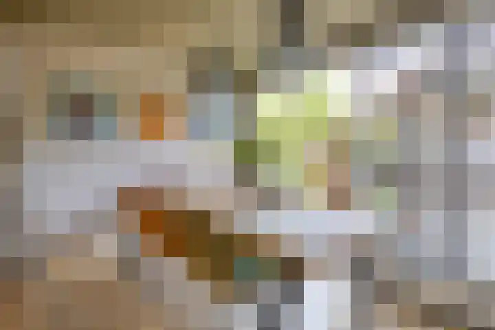 Herteweide 40 Veghel thumbnail 10
