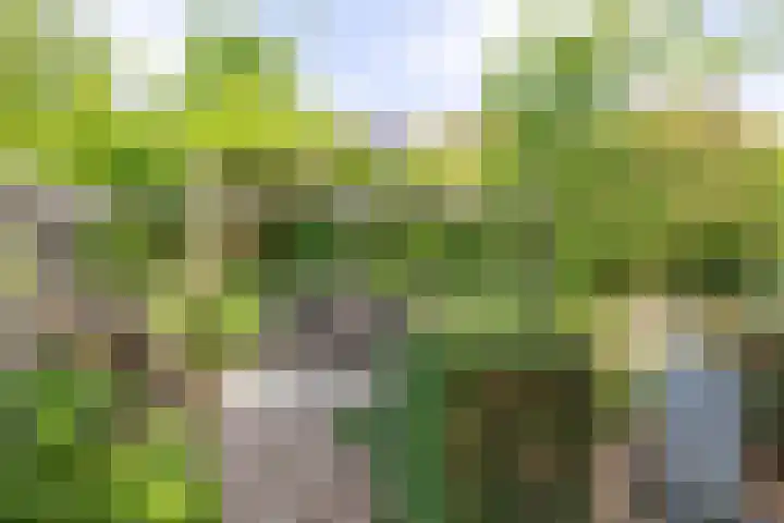 Herteweide 40 Veghel thumbnail 28