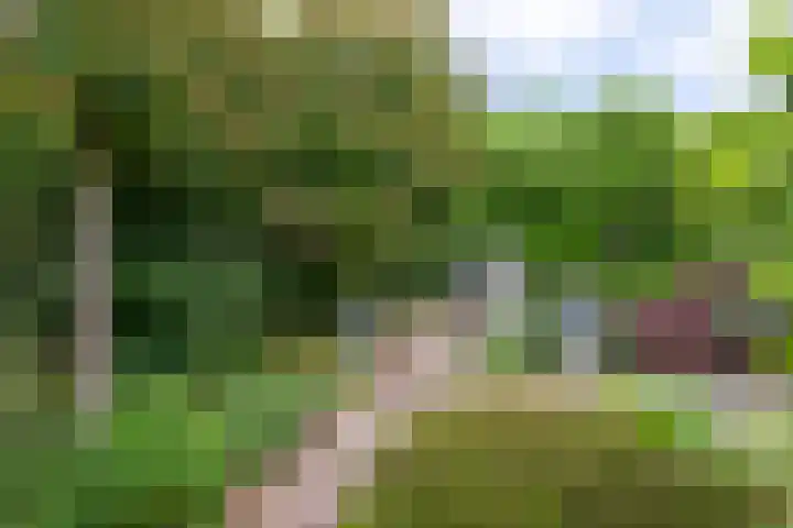Herteweide 40 Veghel thumbnail 29