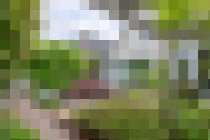 Herteweide 40 Veghel thumbnail 30