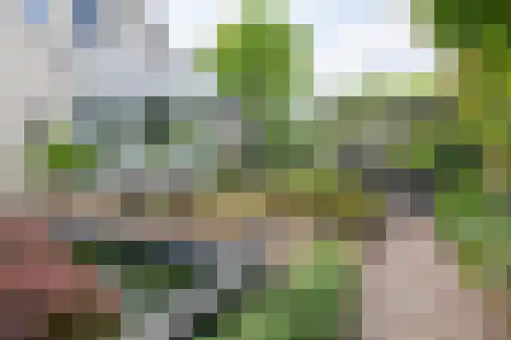Herteweide 40 Veghel thumbnail 31