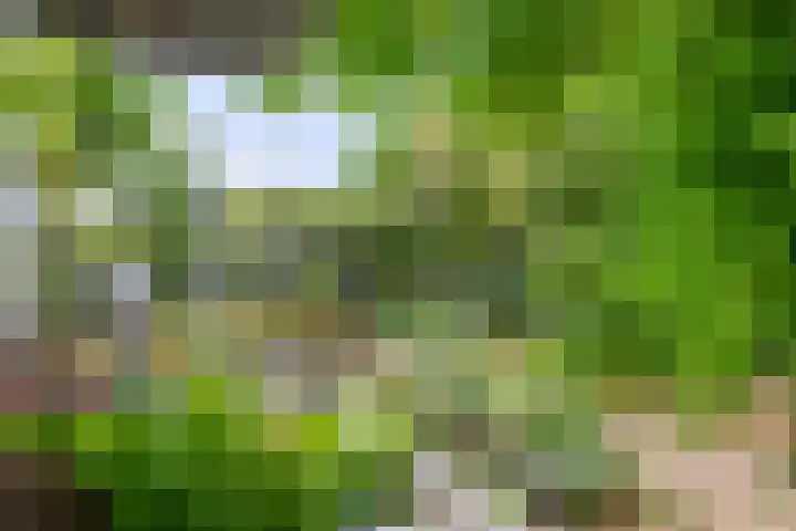 Herteweide 40 Veghel thumbnail 32