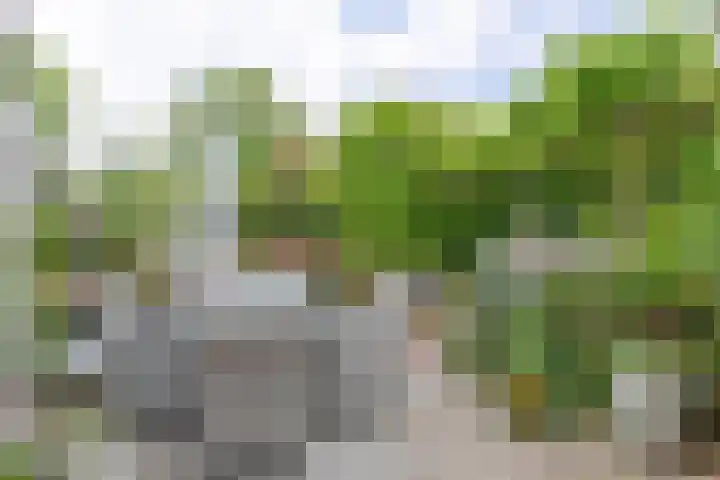 Herteweide 40 Veghel thumbnail 33