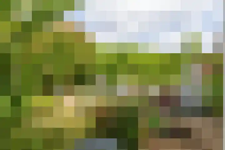 Herteweide 40 Veghel thumbnail 34