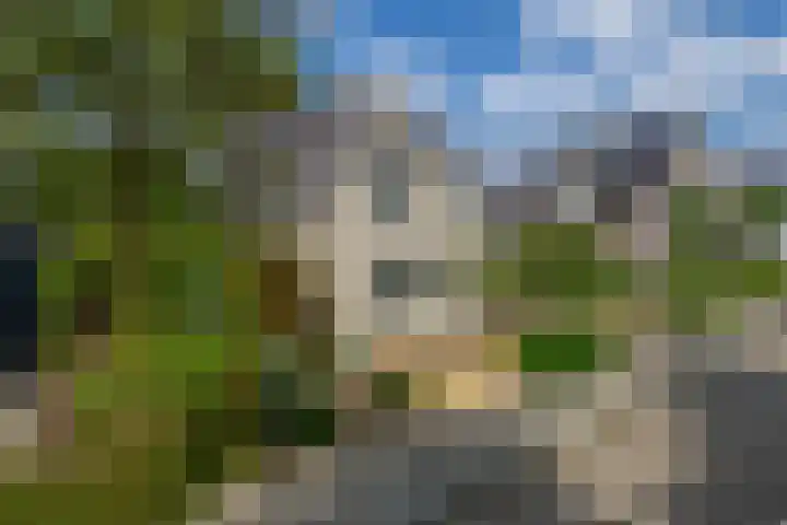 Herteweide 40 Veghel thumbnail 36