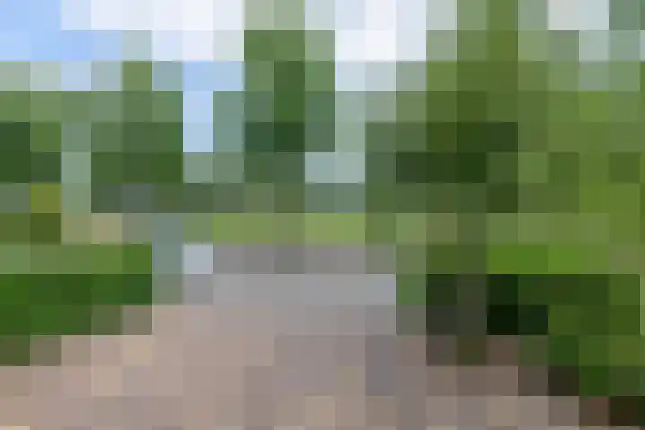 Herteweide 40 Veghel thumbnail 38