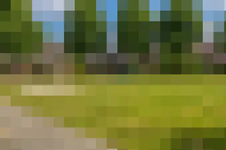 Herteweide 40 Veghel thumbnail 39
