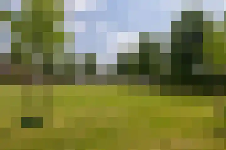 Herteweide 40 Veghel thumbnail 40