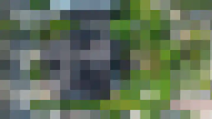 Herteweide 40 Veghel thumbnail 41