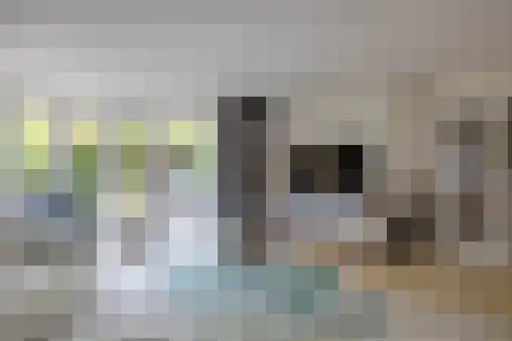 Herteweide 40 Veghel thumbnail 6