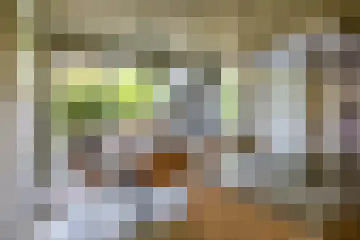 Herteweide 40 Veghel thumbnail 7