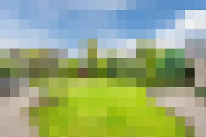 Herteweide 43 Veghel thumbnail 32