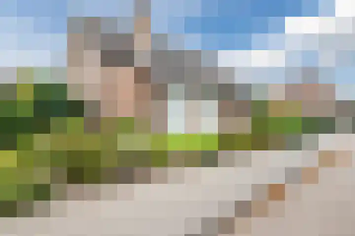 Herteweide 43 Veghel thumbnail 4
