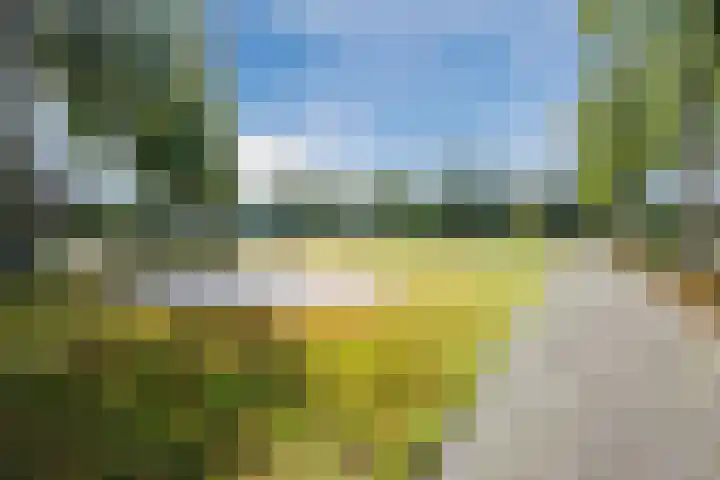 Herteweide 43 Veghel thumbnail 42