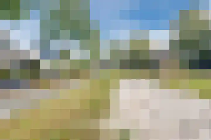 Herteweide 43 Veghel thumbnail 43