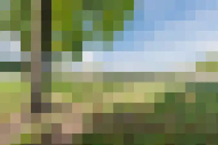 Herteweide 43 Veghel thumbnail 44