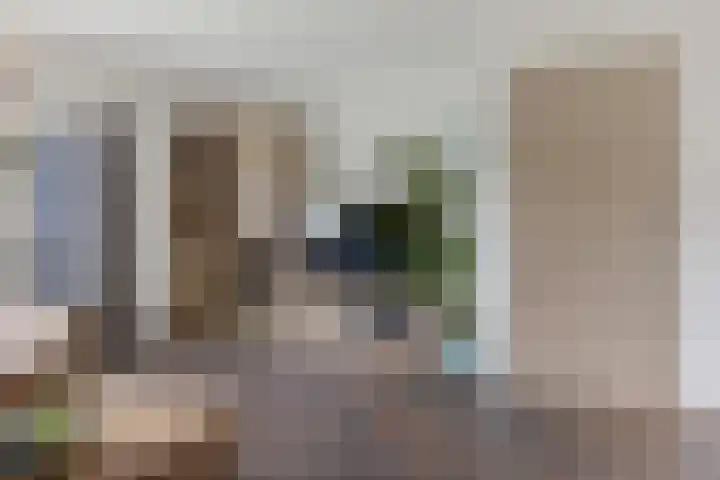 Hertewissel 101 Oss thumbnail 12