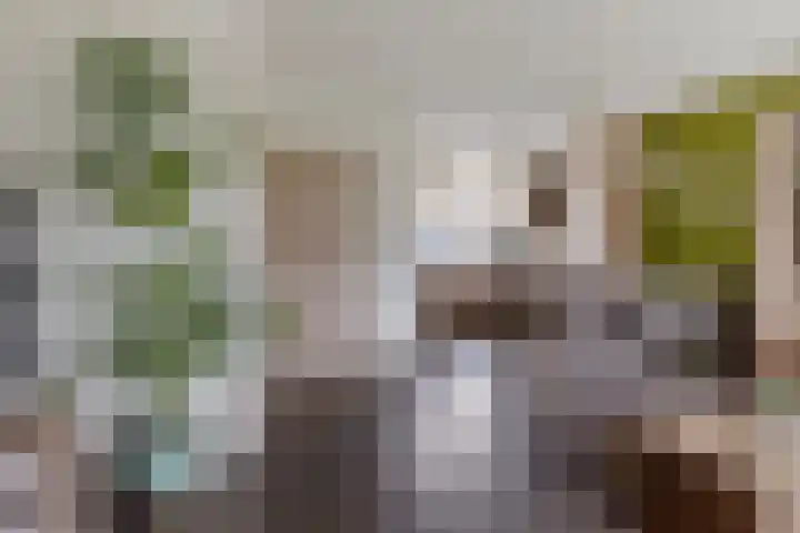 Hertewissel 101 Oss thumbnail 13