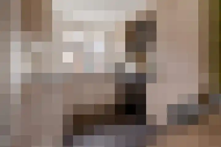 Hertewissel 101 Oss thumbnail 16