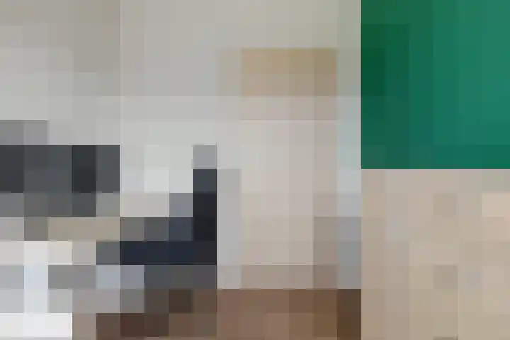 Hertewissel 101 Oss thumbnail 27