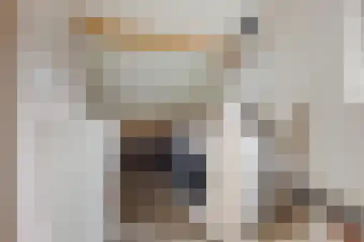 Hertewissel 101 Oss thumbnail 36