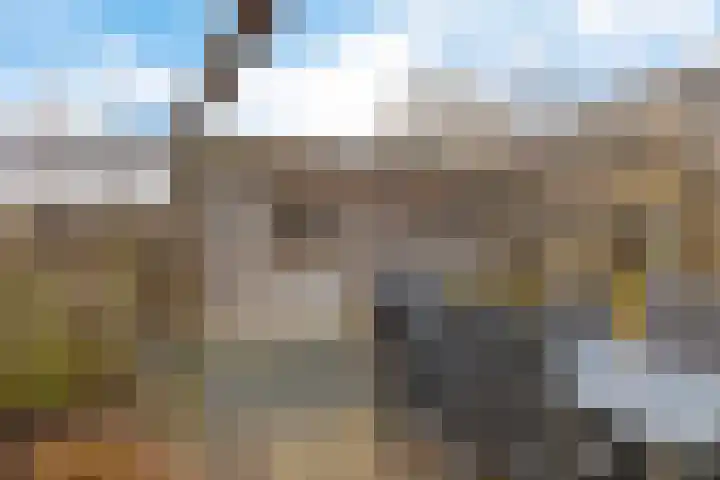 Hertewissel 101 Oss thumbnail 39