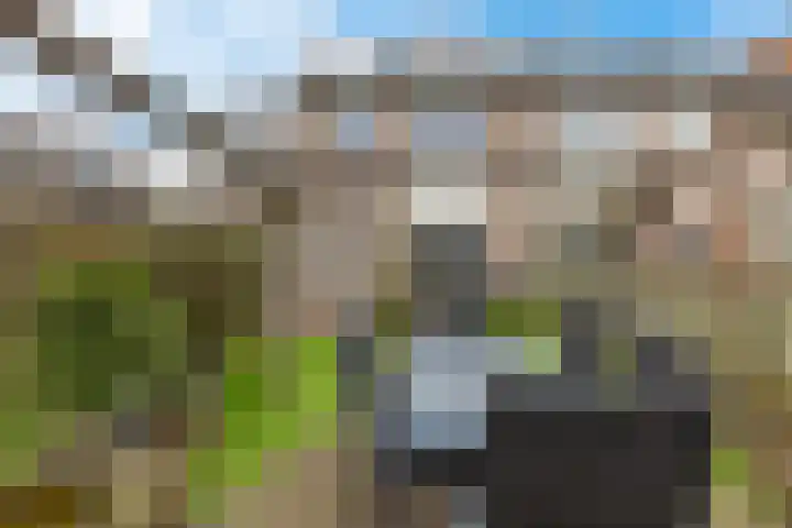 Hertewissel 101 Oss thumbnail 42