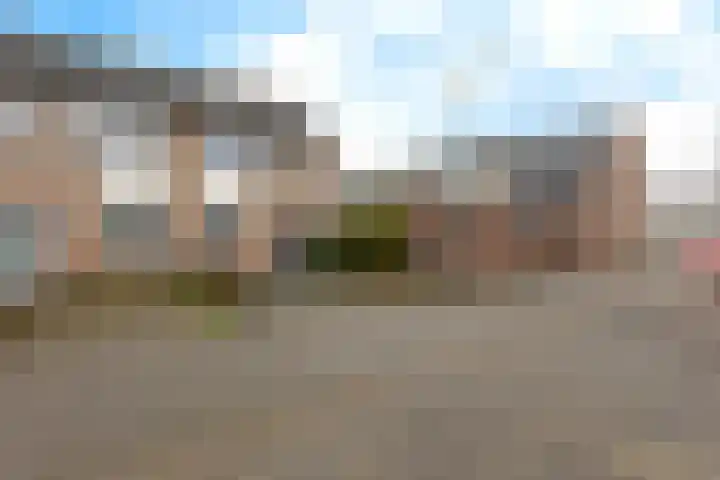 Hertewissel 101 Oss thumbnail 47