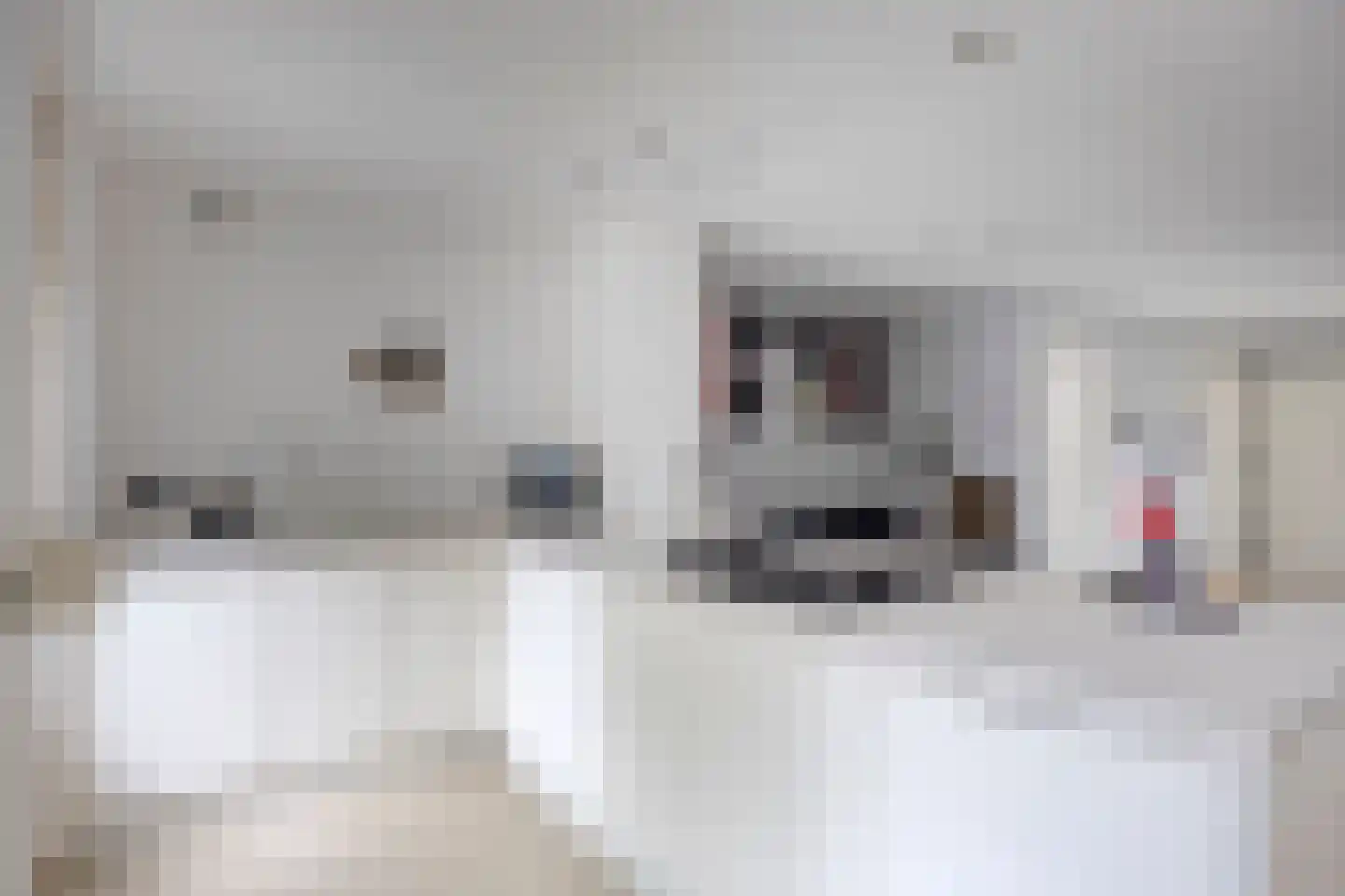 Hertewissel 113 Oss thumbnail 12