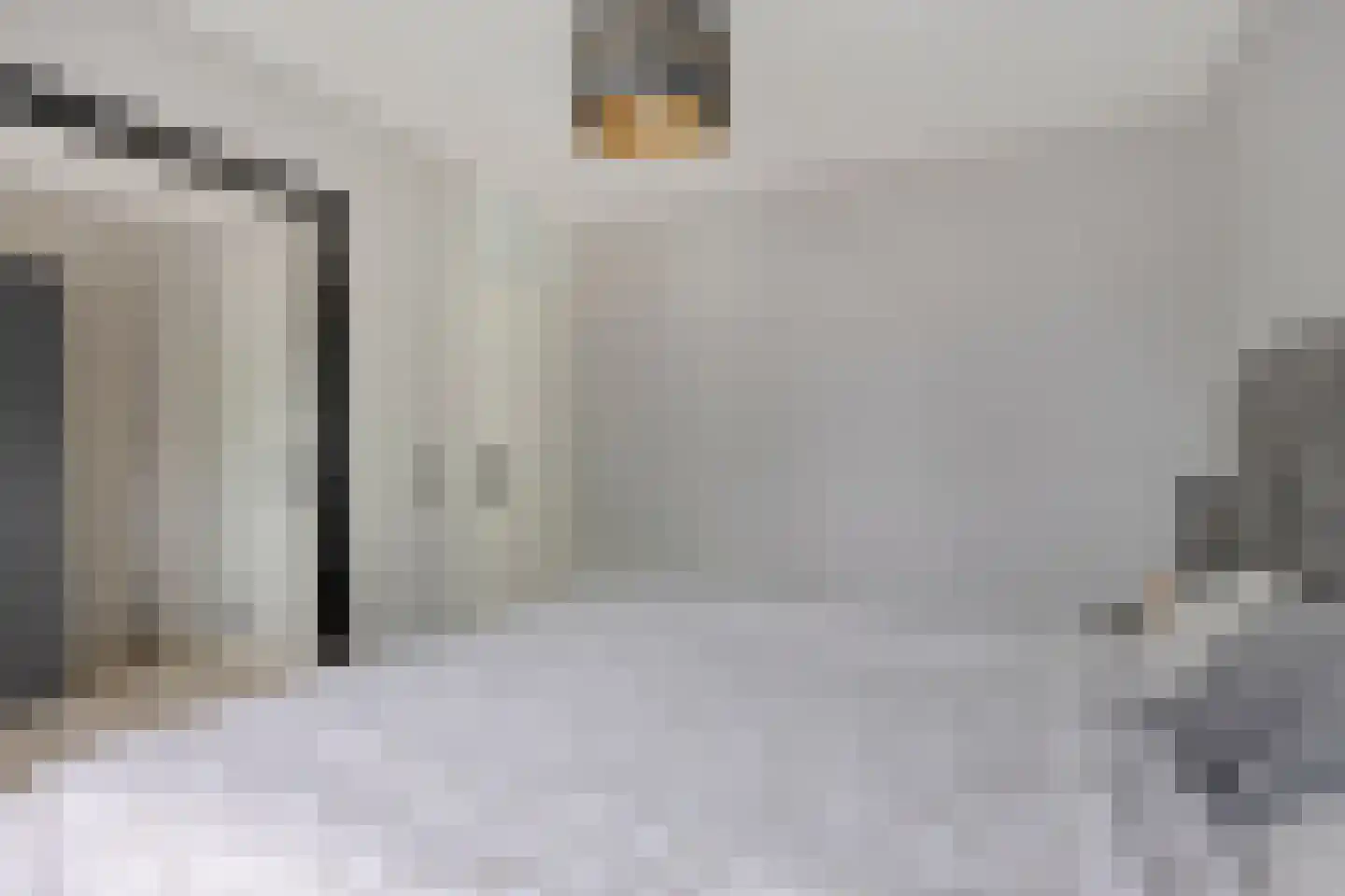 Hertewissel 113 Oss thumbnail 18