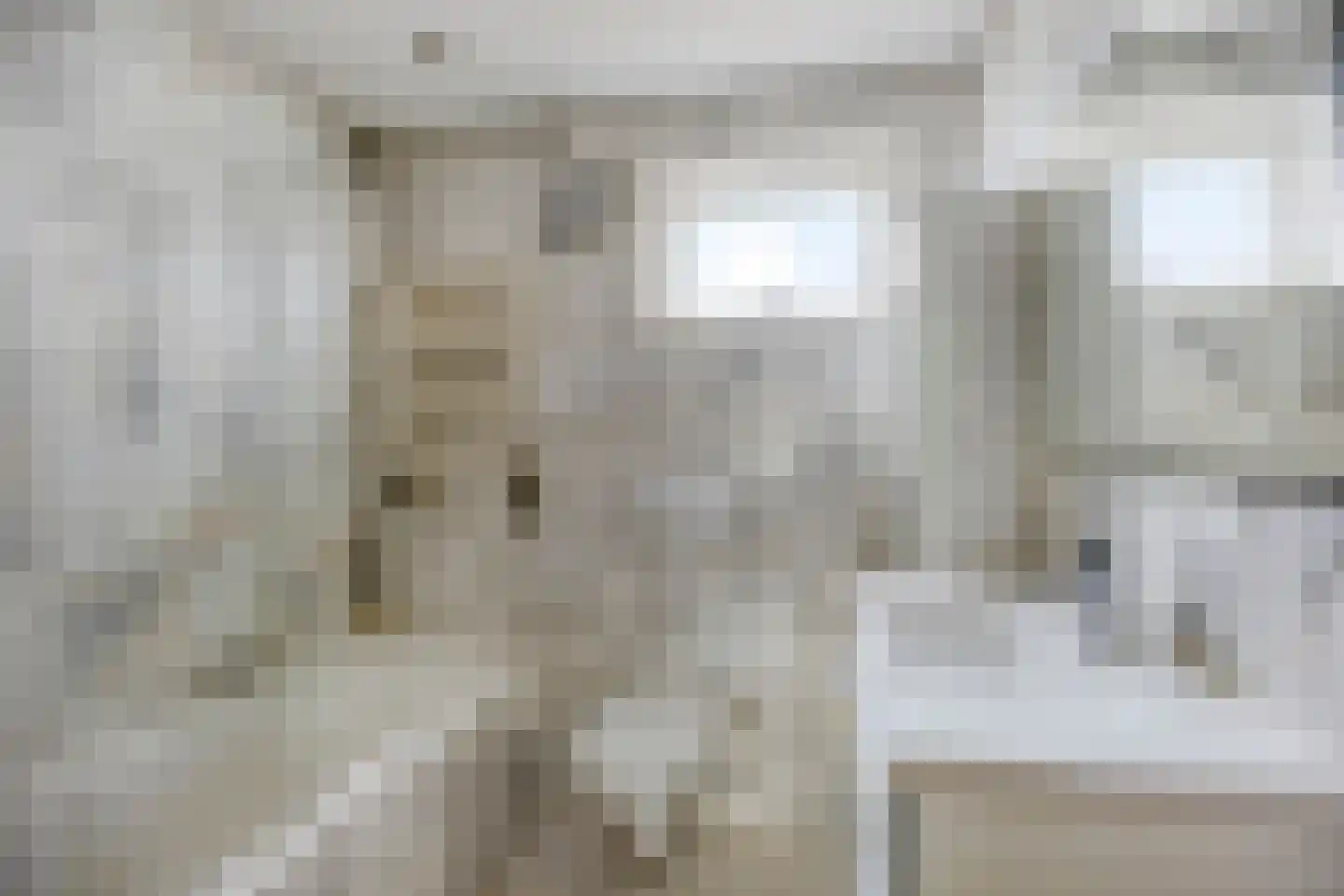 Hertewissel 113 Oss thumbnail 20