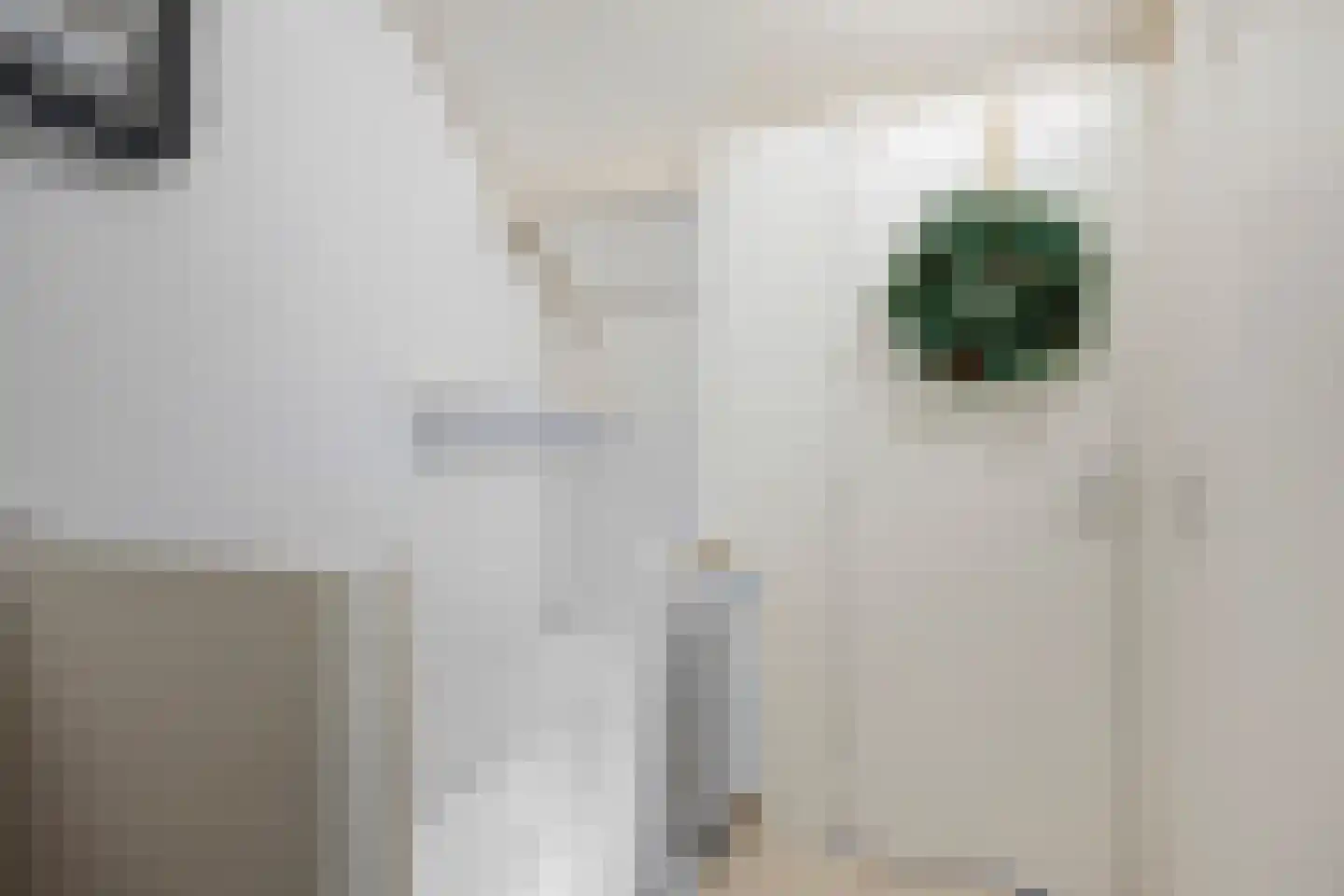 Hertewissel 113 Oss thumbnail 25