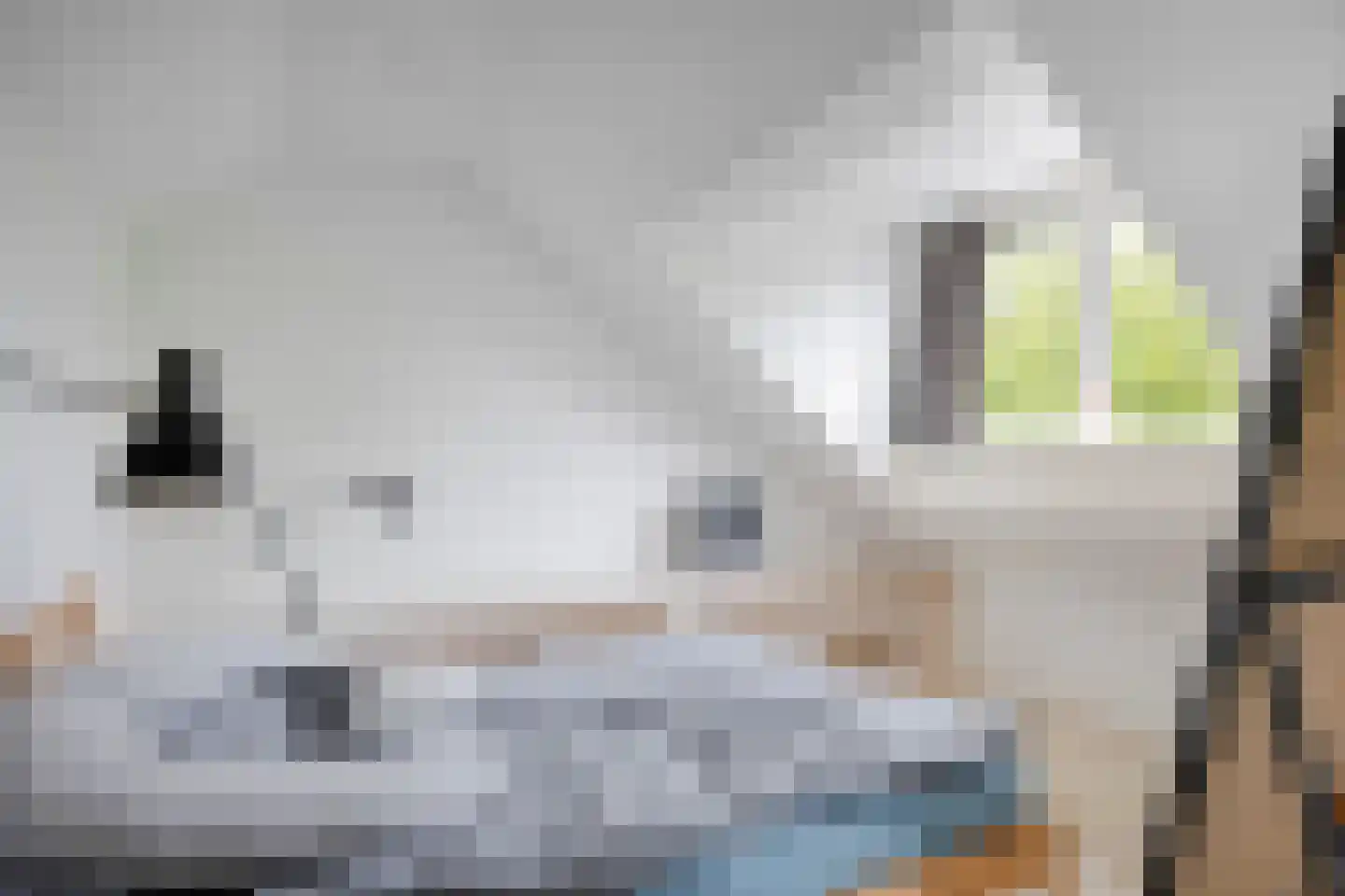 Hertewissel 113 Oss thumbnail 26