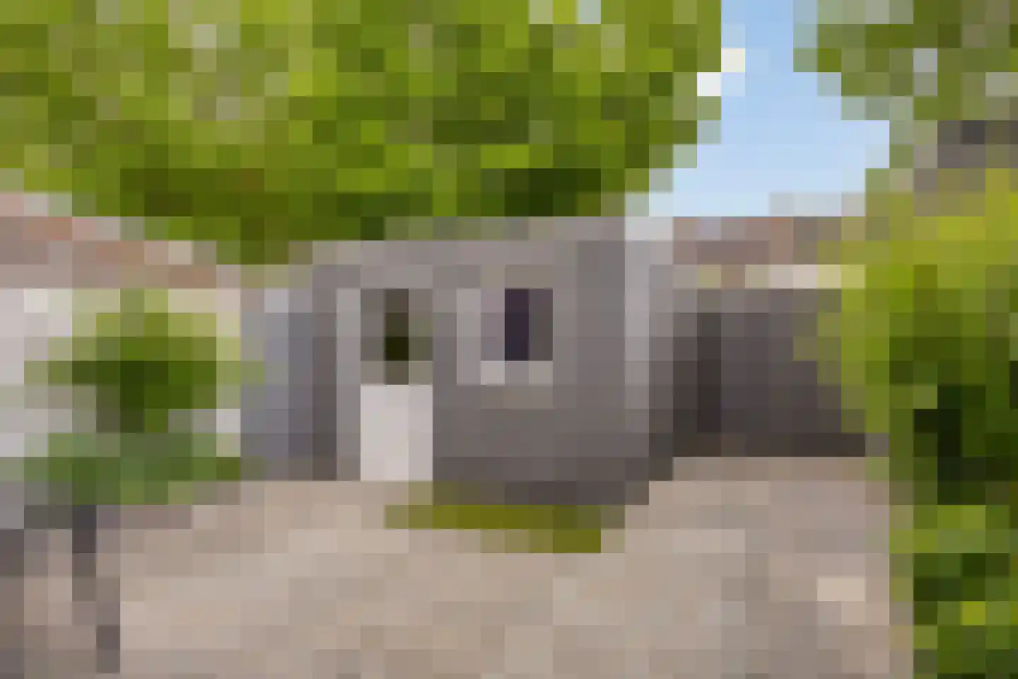 Hertewissel 113 Oss thumbnail 27