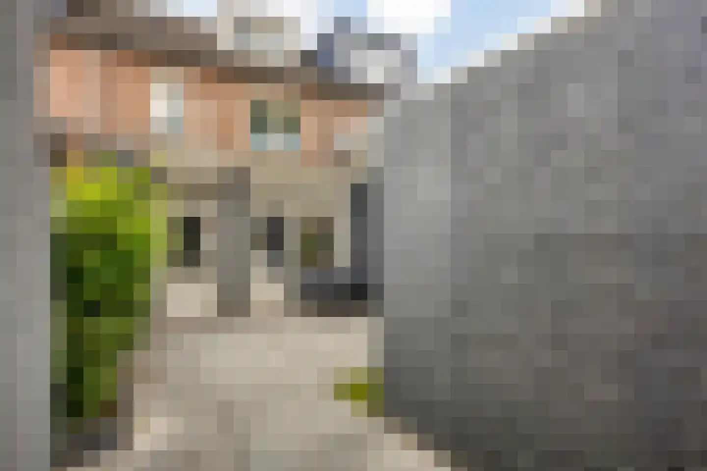 Hertewissel 113 Oss thumbnail 28