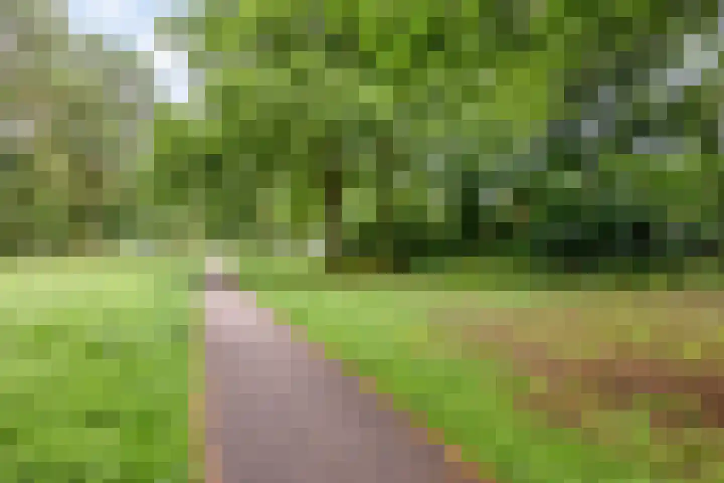 Hertewissel 113 Oss thumbnail 31