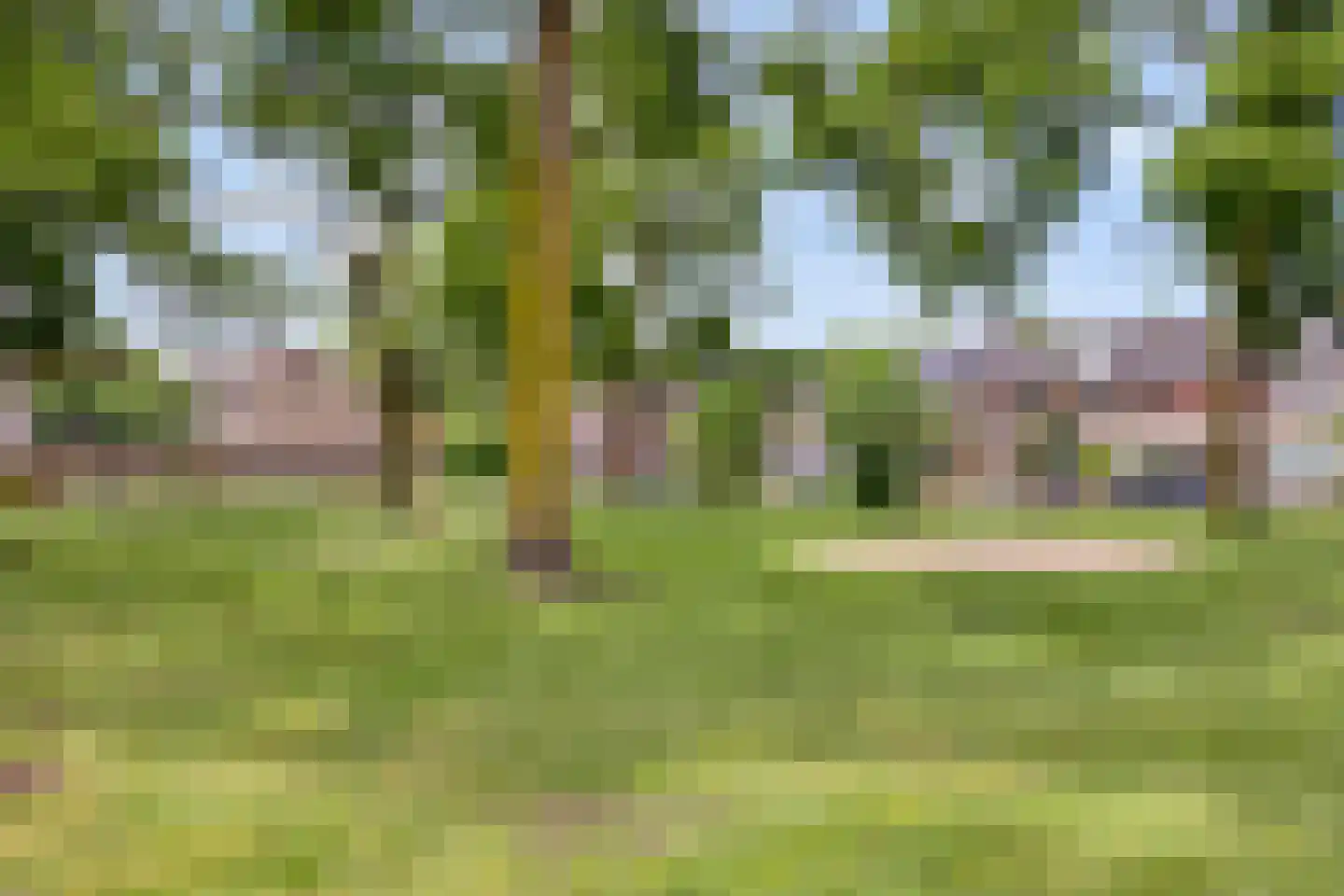 Hertewissel 113 Oss thumbnail 32