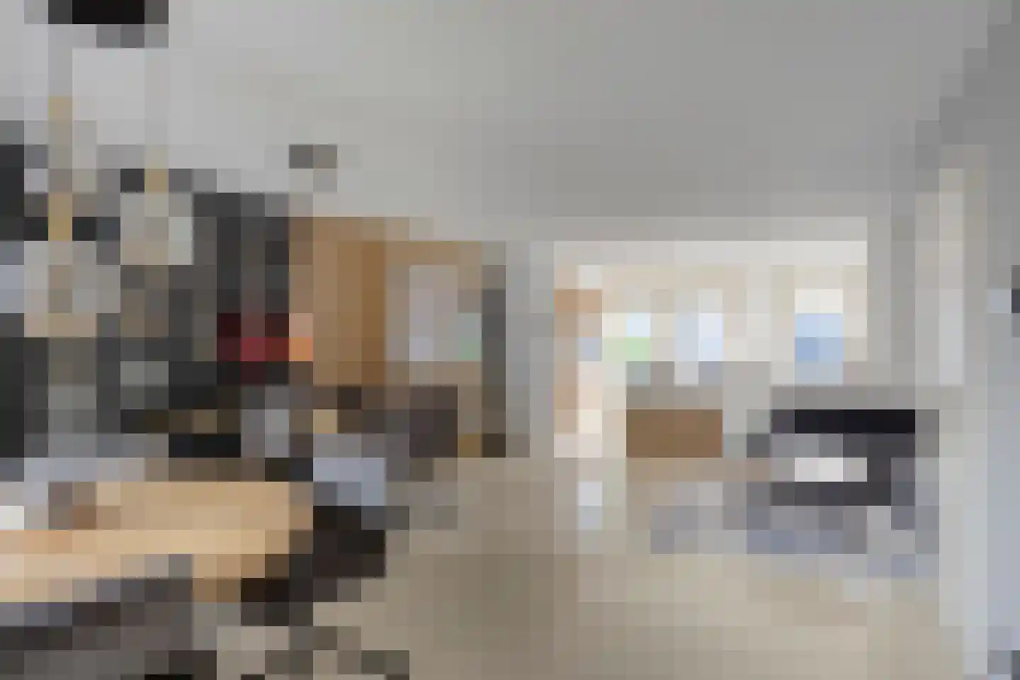 Hertewissel 113 Oss thumbnail 8