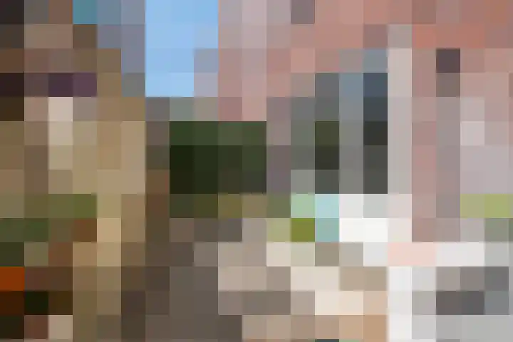 Hertgang 112 Veldhoven thumbnail 20